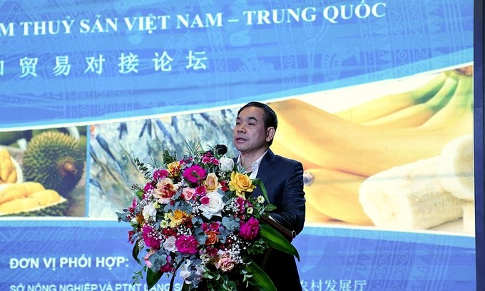 Mr. Hoang Khanh Duy, Deputy Head of the Management Board of Dong Dang-Lang Son Border Gate Economic Zone, spoke at the forum. Photo: Bao Thang.