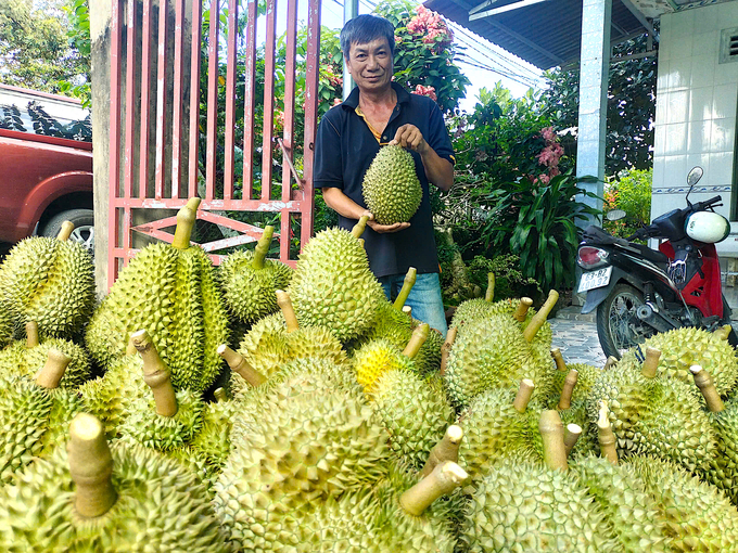 Durian is a strong product of Tien Giang province. Photo: Minh Dam.