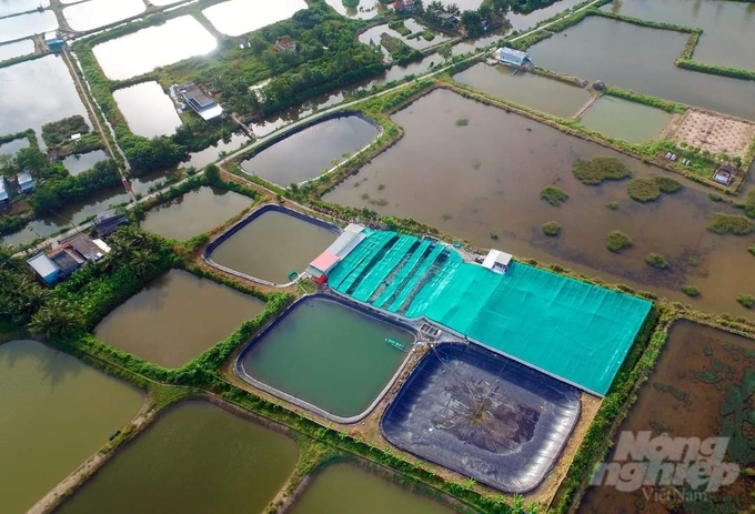 Mô hình nuôi tôm công nghệ cao tuần hoàn nước tại Cà Mau. Ảnh: Trọng Linh.