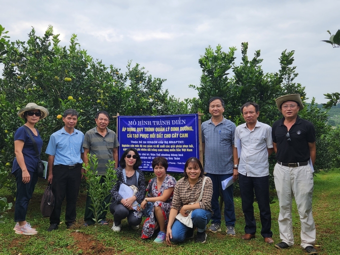 Mô hình cải tạo đất cho vùng trồng cam của Viện Thổ nhưỡng Nông hóa.