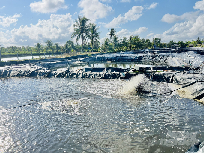 Hệ thống tuần hoàn nước của các hộ nuôi tôm tại huyện Cái Nước. Ảnh: Trọng Linh.