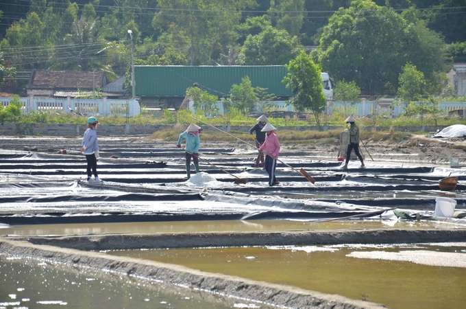 Đồng muối Sa Huỳnh (thị xã Đức Phổ, Quảng Ngãi) rộng khoảng 105ha, với hơn 300 hộ dân gắn bó với nghề làm muối. Ảnh: L.K.