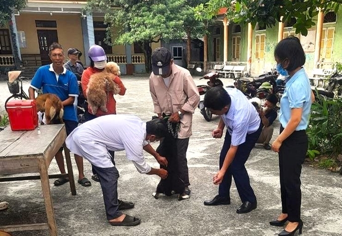 Cục Thú y yêu cầu các địa phương, tăng cường tuyên truyền tới từng hộ gia đình về tính chất nguy hiểm của bệnh dại và các biện pháp phòng, chống. Ảnh: Báo Hải Dương.