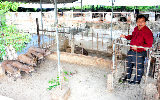 Anh Đoàn Phan Dinh, Giám đốc Công ty TNHH Thương mại Dịch vụ Heo rừng Đồng Tháp là người khởi xướng và triển khai nhiều năm qua nhằm hỗ trợ bà con nông dân tại ĐBSCL. Ảnh: Lê Hoàng Vũ.