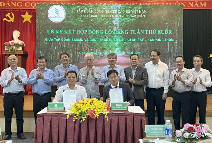 Chu Se Kampong Thom Rubber signed a contract to sell EUDR-adapted rubber latex with Sailun Group. Photo: Thanh Son.