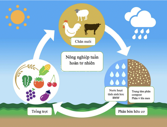 Hệ thống tái chế nông nghiệp tuần hoàn tự nhiên. 