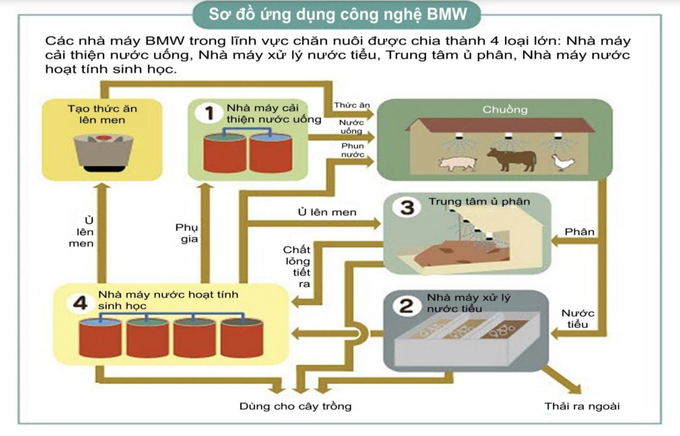 Sơ đồ ứng dụng công nghệ BMW - ứng dụng công nghệ khoáng, vi sinh và nước xử lý ô nhiễm môi trường chăn nuôi hướng tới sản xuất nông nghiệp tuần hoàn.