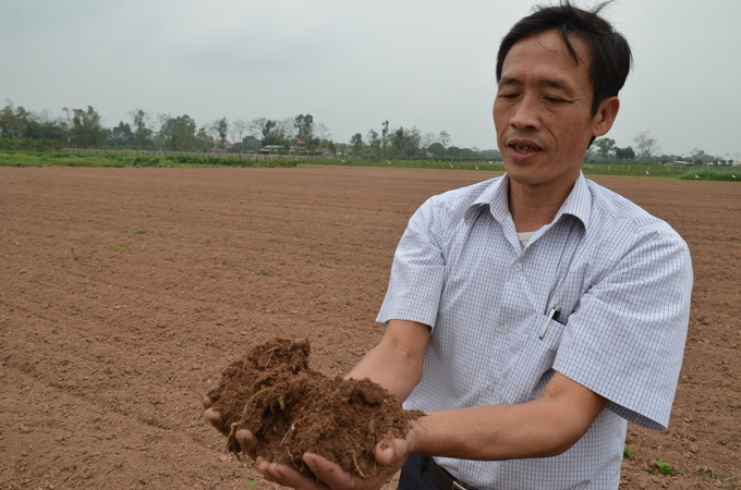 Đất có tốt thì năng suất, chất lượng nông sản mới tốt. Ảnh: Dương Đình Tường.