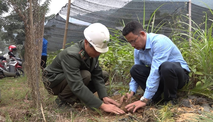 Việc trồng hoa dọc quốc lộ 279 tạo cảnh quan môi trường đẹp khi đến huyện Bảo Yên. Ảnh: H.Đ.