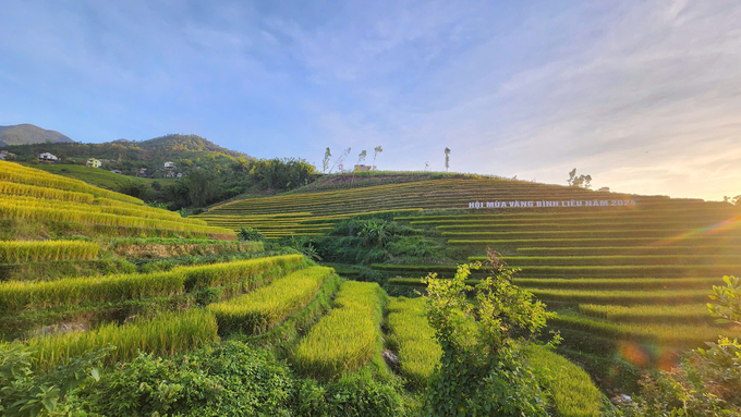 Những thửa ruộng bậc thang đã trở thành biểu tượng du lịch tại huyện Bình Liêu. Ảnh: Nguyễn Thành.