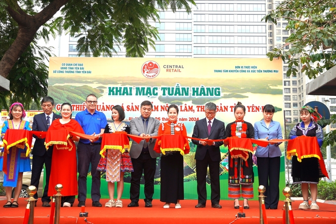 Các đại biểu thực hiện nghi thức khai mạc Tuần hàng.