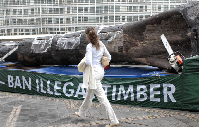 A woman walks passed a 12-meter Amazon tree trunk placed in front of the European Union Council building by environmental activists in Brussels, July 2, 2008.