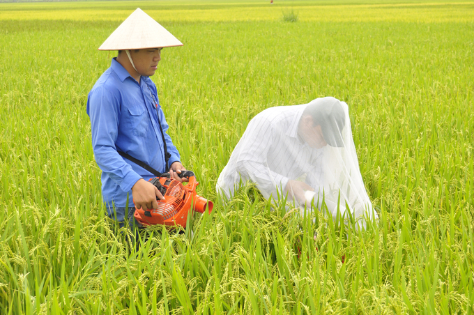 Lấy mẫu côn trùng để nghiên cứu.