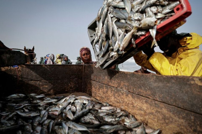 A vendor waits to buy fresh fish from fishermen in Fass Boye, Senegal, March 20, 2024.