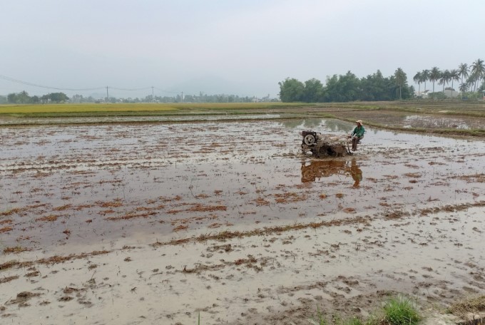 Agricultural land in many places in Vietnam is degraded on many levels. 