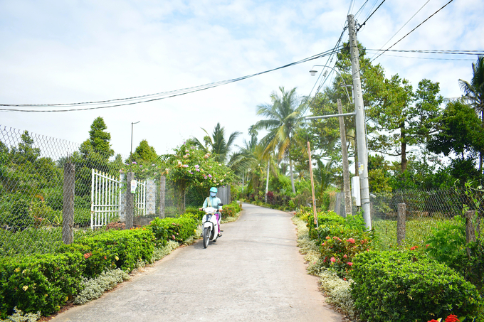 Tuyến đường hoa ở ấp kiểu mẫu Trung Hiệp đạt giải nhất cấp huyện và giải ba cấp tỉnh. Ảnh: Kiều Nhi.