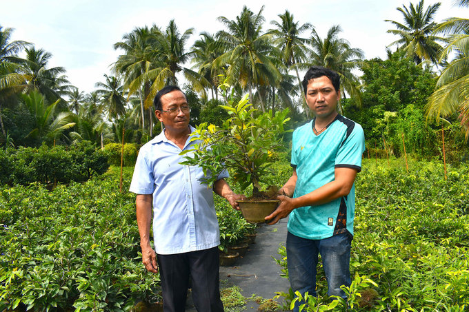 Ông Đặng Chí Linh (phải) thăm mô hình sản xuất hoa mai của ông Nguyễn Văn Nguyền. Ảnh: Kiều Nhi.