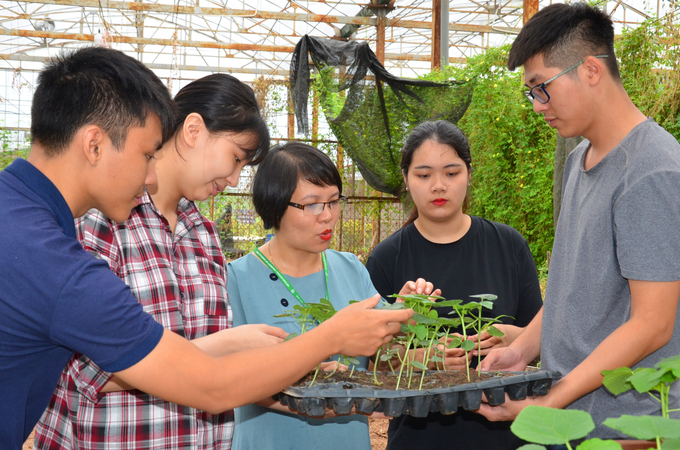 Sinh viên Học viện Nông nghiệp Việt Nam trong một giờ thực hành. Ảnh: Dương Đình Tường.