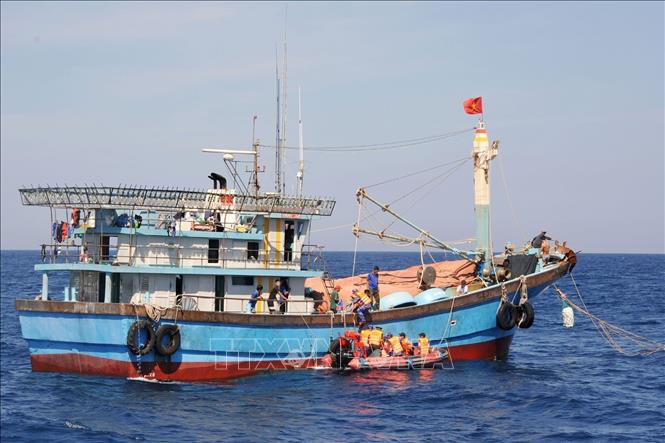 Vietnam has implemented various measures to address IUU fishing violations. Photo: Vietnam News Agency.