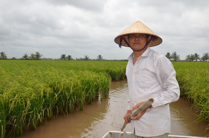 Anh Đỗ Danh Hưng trên vùng lúa rươi của niên vụ cũ. Ảnh: Dương Đình Tường.