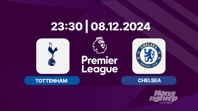 Nhận định, trực tiếp Tottenham vs Chelsea, Ngoại hạng Anh, 23h30 hôm nay 8/12/2024