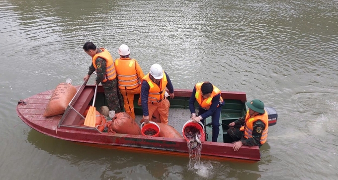 Nhà máy Thủy điện Khe Bố thả cá giống xuống lòng hồ để phát triển nguồn lợi thủy sản. Ảnh: An Nhiên.