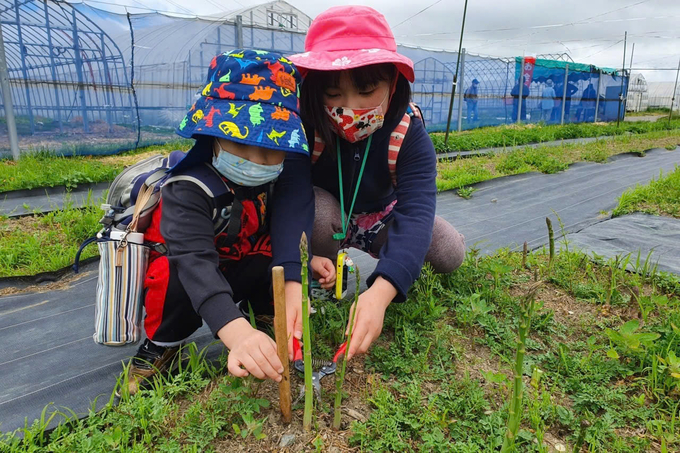 Trẻ con tìm hiểu nông trại trồng măng tây ở Hokkaido. Ảnh: Visit-hokkaido.jp.