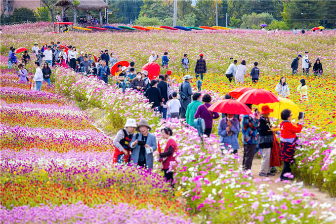 Du khách tham gia vườn hoa Goseokjeong ở huyện Cheowron, tỉnh Gwangwon. Ảnh: Cheowrongun.