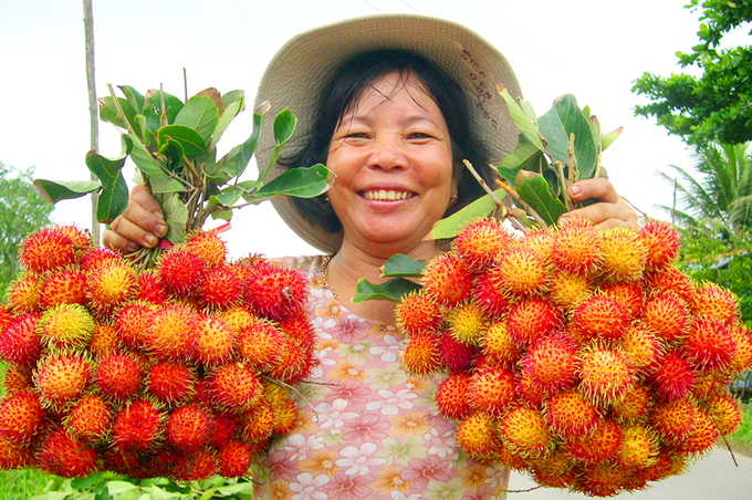 Mekong Connect 2024 đánh dấu lần đầu tiên Diễn đàn được tổ chức tại An Giang, một địa phương trọng điểm về kinh tế - nông nghiệp của khu vực. Ảnh: Lê Hoàng Vũ.