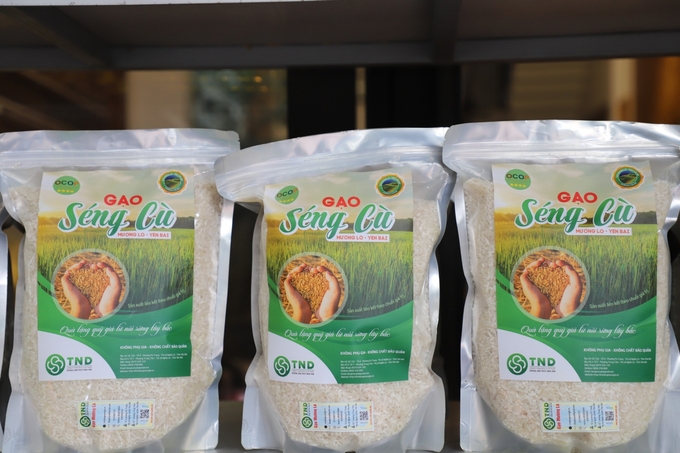 Seng Cu rice is one of Nghia Lo's signature OCOP products. Photo: Thanh Tien.