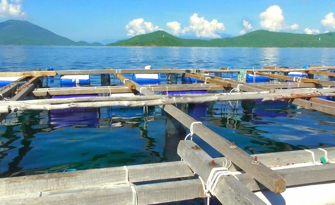 The environment in the aquaculture areas has gradually improved. Photo: PC.