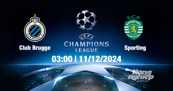 Nhận định, trực tiếp Club Brugge vs Sporting, Cúp C1 Châu Âu, 03h00 hôm nay 11/12/2024