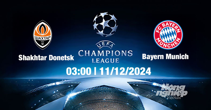 Nhận định, trực tiếp Shaktar Donetsk vs Bayern Munich, Cúp C1 Châu Âu, 03h00 ngày 11/12/2024