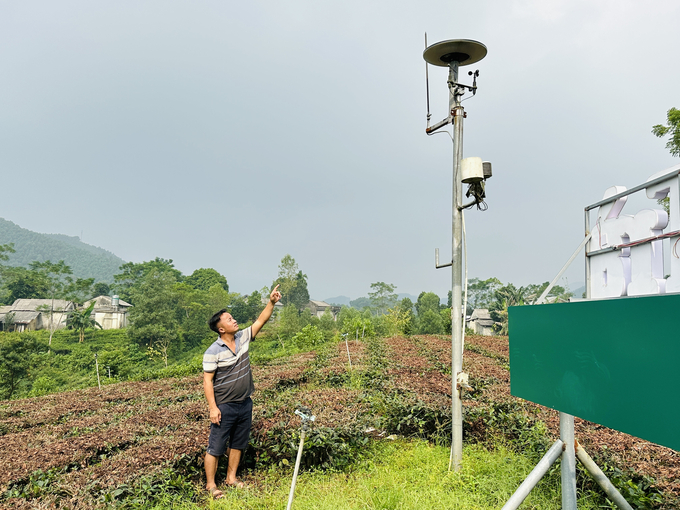 The digital transformation model in agriculture at Cao Son Tea Cooperative, Song Cong City (Thai Nguyen). Photo: Quang Linh.