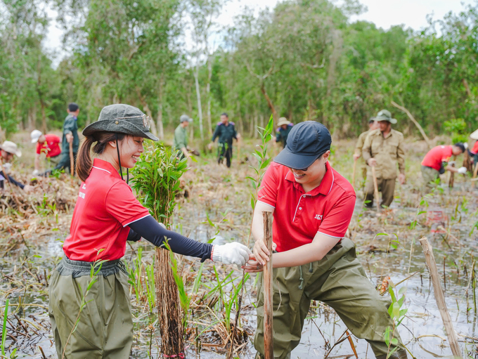 Each newly planted native cajeput tree (Melaleuca cajuputi) represents J&T Express's collective effort to create green spaces aimed at sustainable development. Photo: Le Hoang Vu.