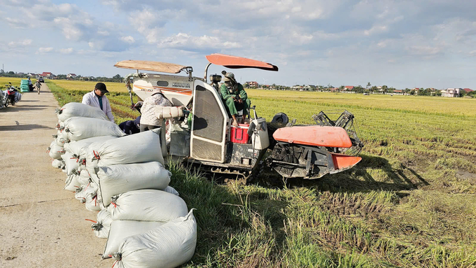 Cánh đồng lúa 2 vụ chắc ăn của Xuân Bồ đã tạo niềm vui lớn cho bà con nông dân. Ảnh: T. Phùng.