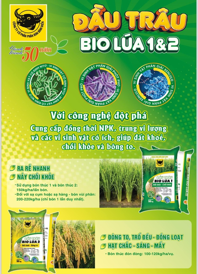 Phân bón Đầu Trâu Bio-Lúa 1, Đầu Trâu Bio-Lúa 2 giúp cải tạo đất, nâng cao năng suất lúa. Ảnh: Bùi Lương.