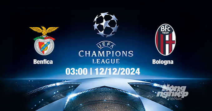 Nhận định, trực tiếp Benfica vs Bologna, Cúp C1 Châu Âu, 03h00 hôm nay 12/12/2024