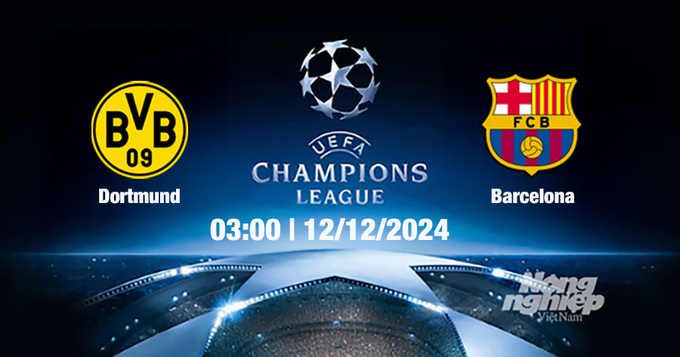 Nhận định, trực tiếp Dortmund vs Barcelona, Cúp C1 Châu Âu, 03h00 ngày 12/12/2024