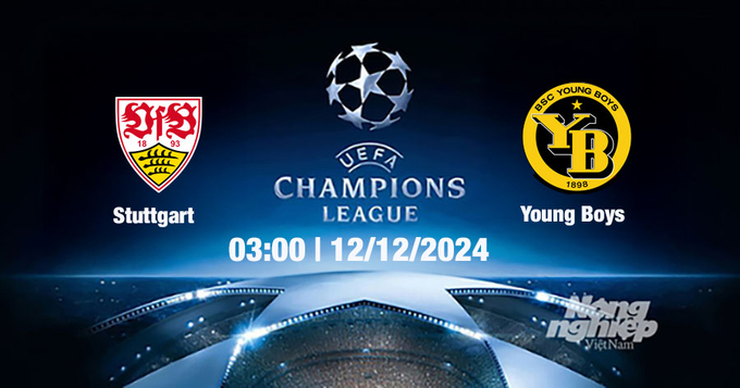 Nhận định, trực tiếp Stuttgart vs Young Boys, Cúp C1 Châu Âu, 03h00 ngày 12/12/2024