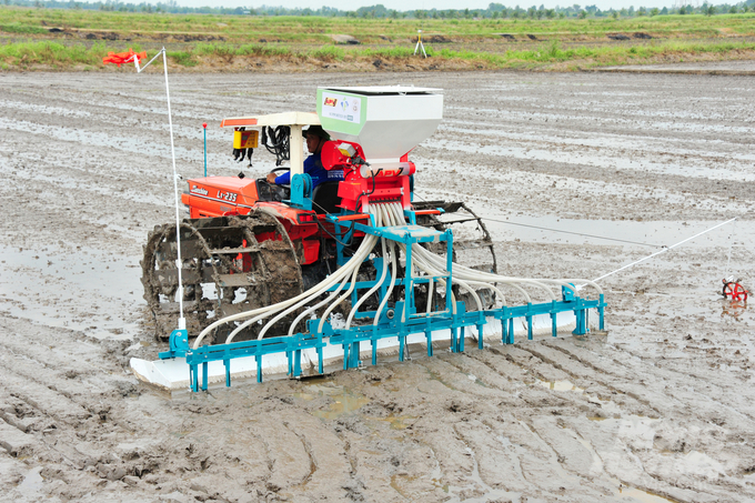 Xuống giống tập trung sẽ hạn chế rủi ro trong vụ đông xuân. Ảnh: Lê Hoàng Vũ.