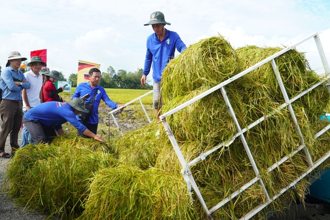 The journey of intellectualizing farmers will provide strong support for the project of 1 million hectares of high-quality rice. Photo: Kim Anh.