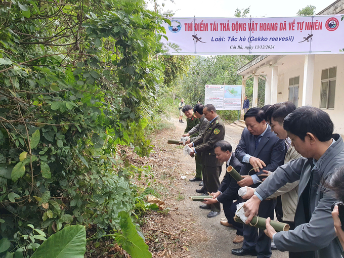 Các đại biểu thả động vật hoang dã về môi trường tự nhiên. Ảnh: Đinh Mười.