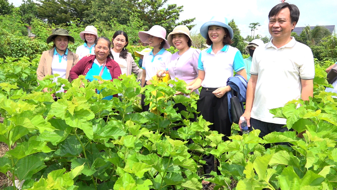 Cán bộ Hội Nông dân huyện Bù Đốp tham quan mô hình trồng dâu nuôi tằm của bà Tám. Ảnh: Trần Trung.