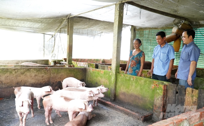 Đàn heo tại Kiên Giang tăng so cùng kỳ các năm trước là do giá thịt hơi tăng và kiểm soát dịch bệnh khá tốt, các hộ chăn nuôi nhỏ lẻ sẽ quan tâm tăng, tái đàn. Ảnh: Trung Chánh.