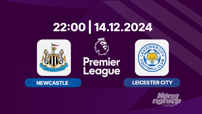 Trực tiếp Newcastle vs Leicester, Ngoại hạng Anh, 22h00 hôm nay 14/12/2024