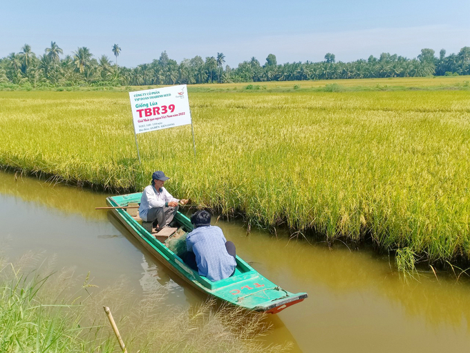 Các công trình thủy lợi đang đóng vai trò quan trọng trong kiểm soát nguồn nước, ngăn mặn và đảm bảo nguồn nước ngọt phục vụ sản xuất nông nghiệp. Ảnh: Lê Hoàng Vũ.