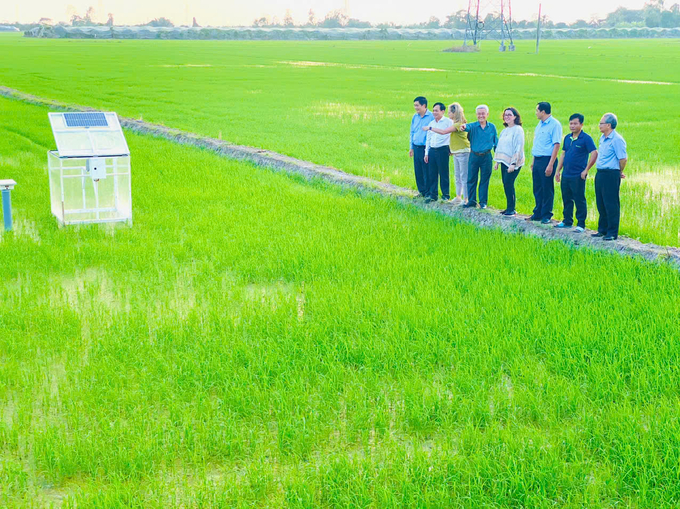 A model of high-tech, low-emission rice farming in the Mekong Delta. Photo: Le Hoang Vu.