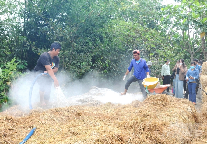 Farmers in Kien Giang participate in a training course on circular agriculture using straw, practicing straw treatment for mushroom cultivation, and then composting it into organic fertilizer to return to the fields. Photo: Trung Chanh.