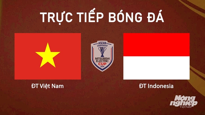 Trực tiếp bóng đá Việt Nam vs Indonesia tại vòng bảng AFF Cup 2024 hôm nay 15/12/2024